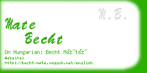 mate becht business card